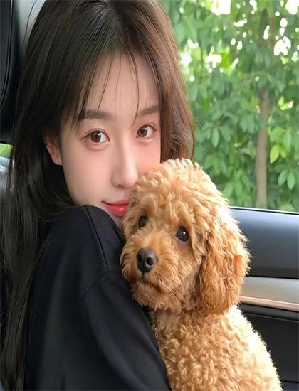 青春有你2在线观看_拆弹专家在线观看_神马影院